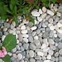 Image result for Pebbles 30 mm