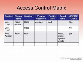 Image result for Access Matrix Template