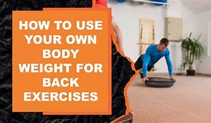 Image result for Lower Back Weight Exercises