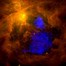 Image result for Orion Nebula 42
