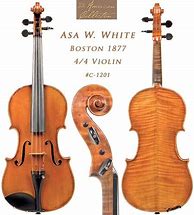 Image result for Asa White Violin