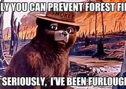 Image result for Smokey Bear Meme