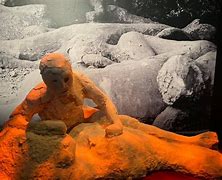 Image result for Pompeii Museum Exhibit of Casts