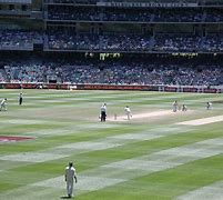 Image result for The Cricket On the Roof Animals