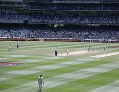 Image result for Palram Panel Roof Cricket