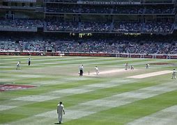 Image result for World Cup2023 Cricket