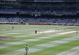 Image result for Cricket Game Pic