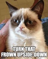 Image result for Frowning Cat Meme