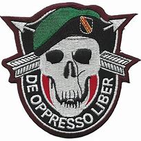 Image result for U.S. Army Special Forces Patches