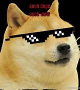 Image result for Doge Meme Such WoW