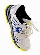 Image result for Cricket Shoes