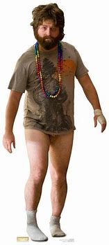 Image result for Zach Galifianakis Hangover Costume