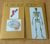 Image result for Human Body Skeleton X-ray