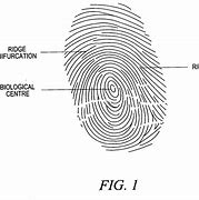 Image result for Patent Fingerprints