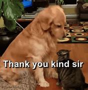 Image result for Thank You GIF Funny Work