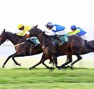 Image result for Ascot National Hunt Racing