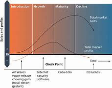 Image result for Life Cycle for Business Change