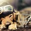 Image result for Cool Dog Profile Pictures