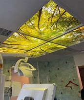 Image result for LED Sky Panels