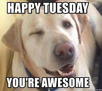 Image result for Tuesday Memes Work Funny WTF in the Week