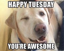 Image result for Happy Tuesday Work Meme