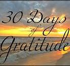Image result for 14-Day Gratitude Challenge