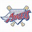 Image result for Anaheim Angels