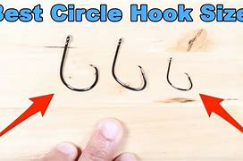 Image result for Circle Hook Sizes
