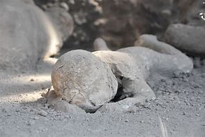 Image result for Pompeii Baby