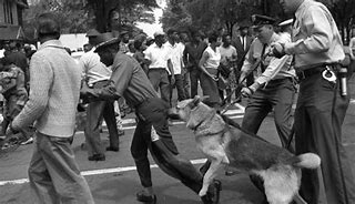 Image result for Boycott Civil Rights Movement