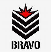 Image result for Bravo Team Logo