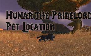 Image result for WoW Pet Humar