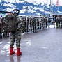 Image result for Austrian Military Units