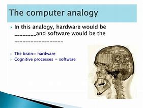 Image result for Analogy Skull and Computer