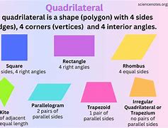 Image result for Quadrilateral Lines of Symmetry