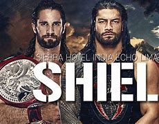 Image result for WWE Cool the Shild