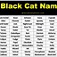 Image result for Black Cat Names