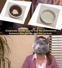 Image result for Purrfect Meme