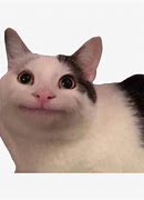 Image result for Smiling Cat Meme