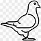 Image result for White Bird Icon
