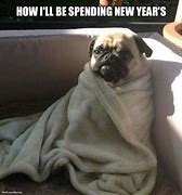 Image result for Happy New Year Dog Meme