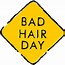 Image result for Bad Hair Day Clip Art