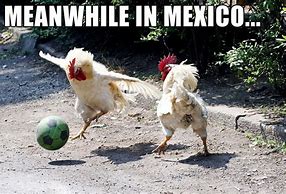 Image result for Meanwhile in Mexico