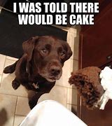 Image result for Dog Birthday Cake Meme