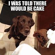 Image result for Chocolate Cake Meme