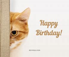 Image result for Cat Birthday Wishes