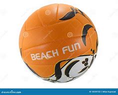 Image result for Picture of Volleyball Ball