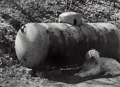 Image result for 250 500 Gallon Propane Tank