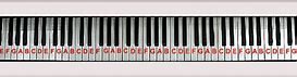Image result for Different Piano Keys