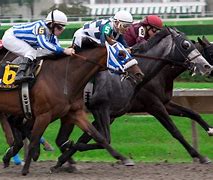 Image result for Sports Horse Racing